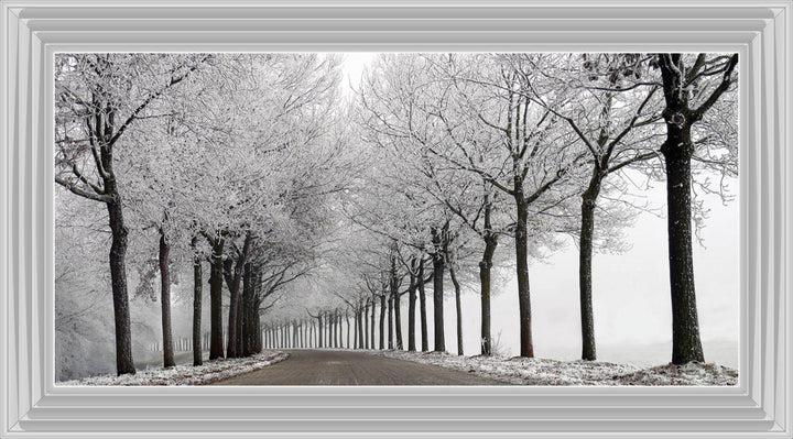 LS001 Trees On a Wintery Road Monochrome