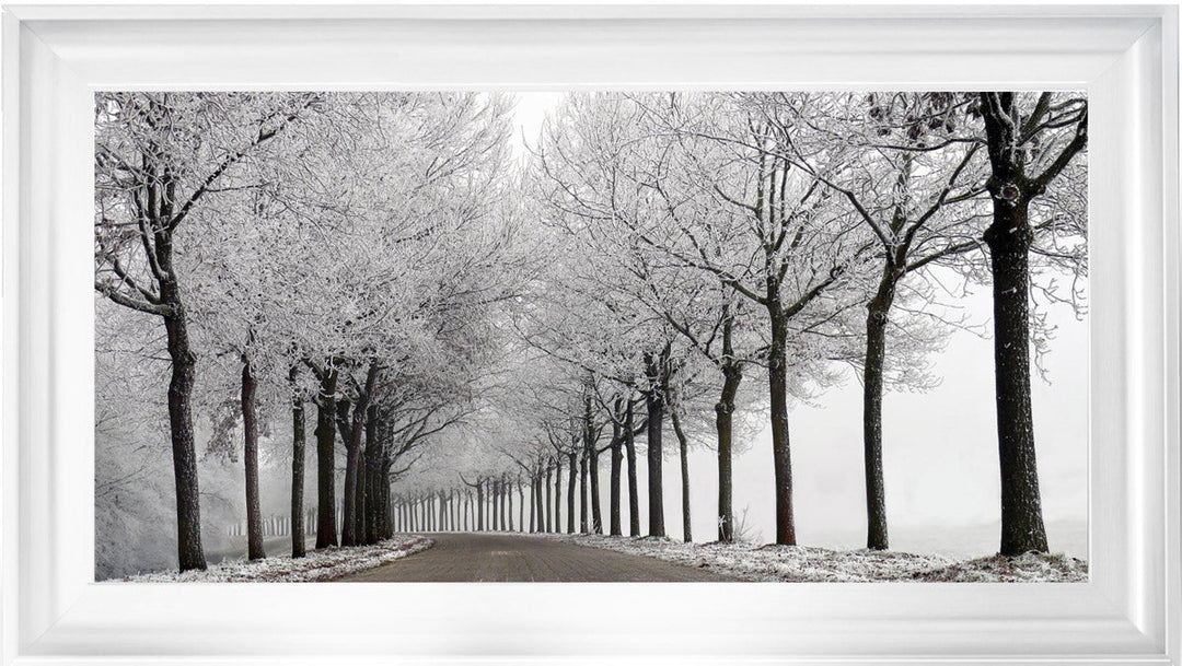 LS001 Trees On a Wintery Road Monochrome