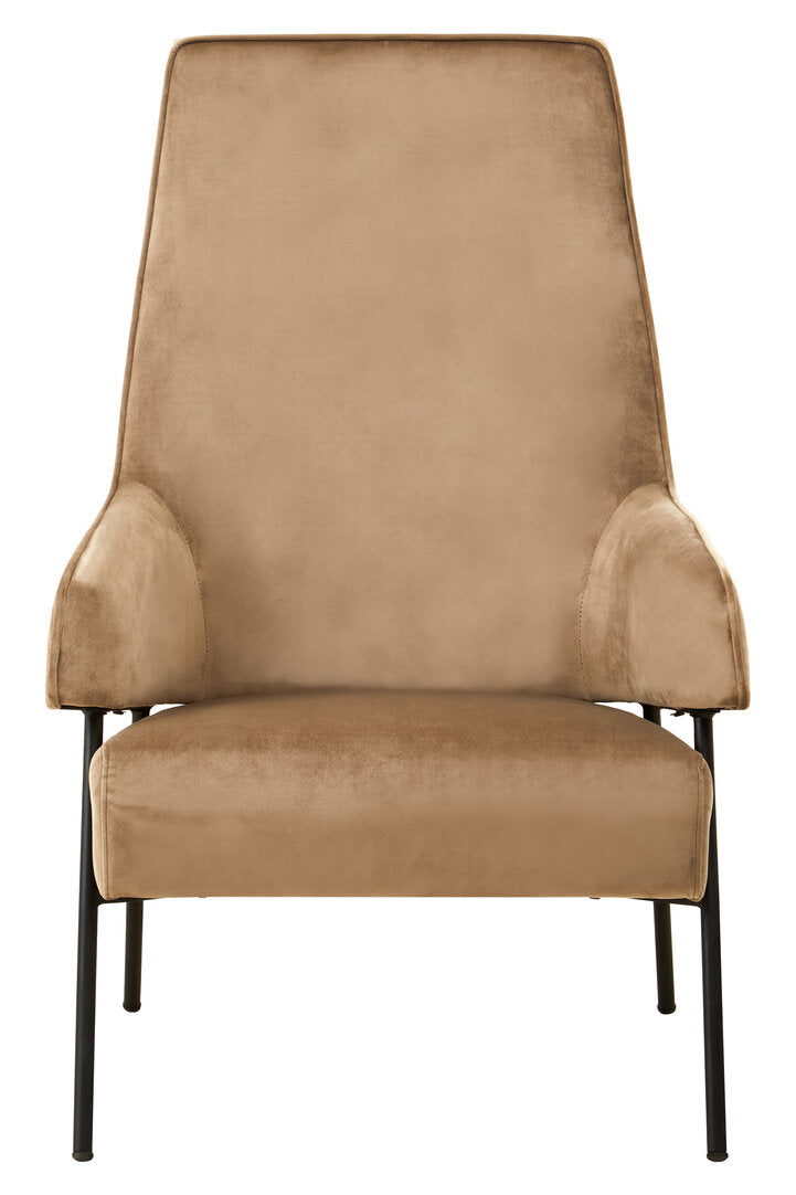 Darlisse Mink Velvet Chair