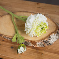 Fresh Green Ranunculus Decorative Spray