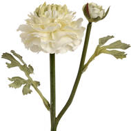 Fresh Green Ranunculus Decorative Spray