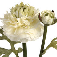 Fresh Green Ranunculus Decorative Spray