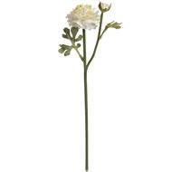 Fresh Green Ranunculus Decorative Spray