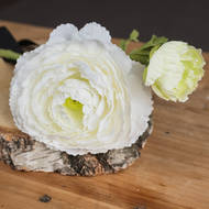 Elegant White Ranunculus Decorative Spray