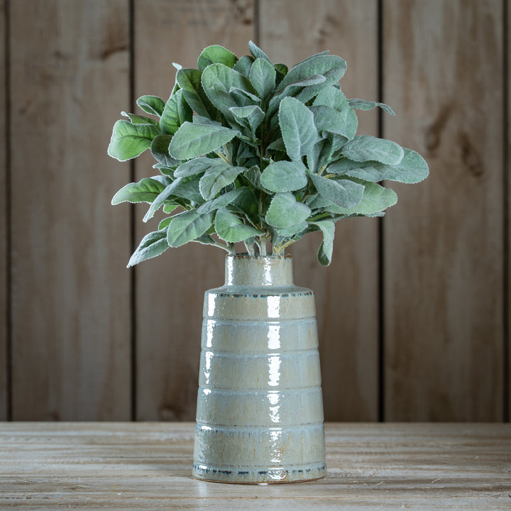 Lambs-Ear-Spray