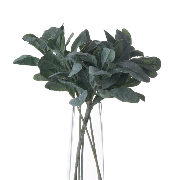 Lambs-Ear-Spray