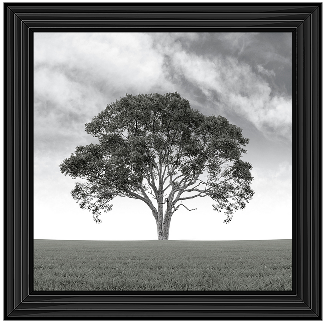 LS190 Lone Tree 1