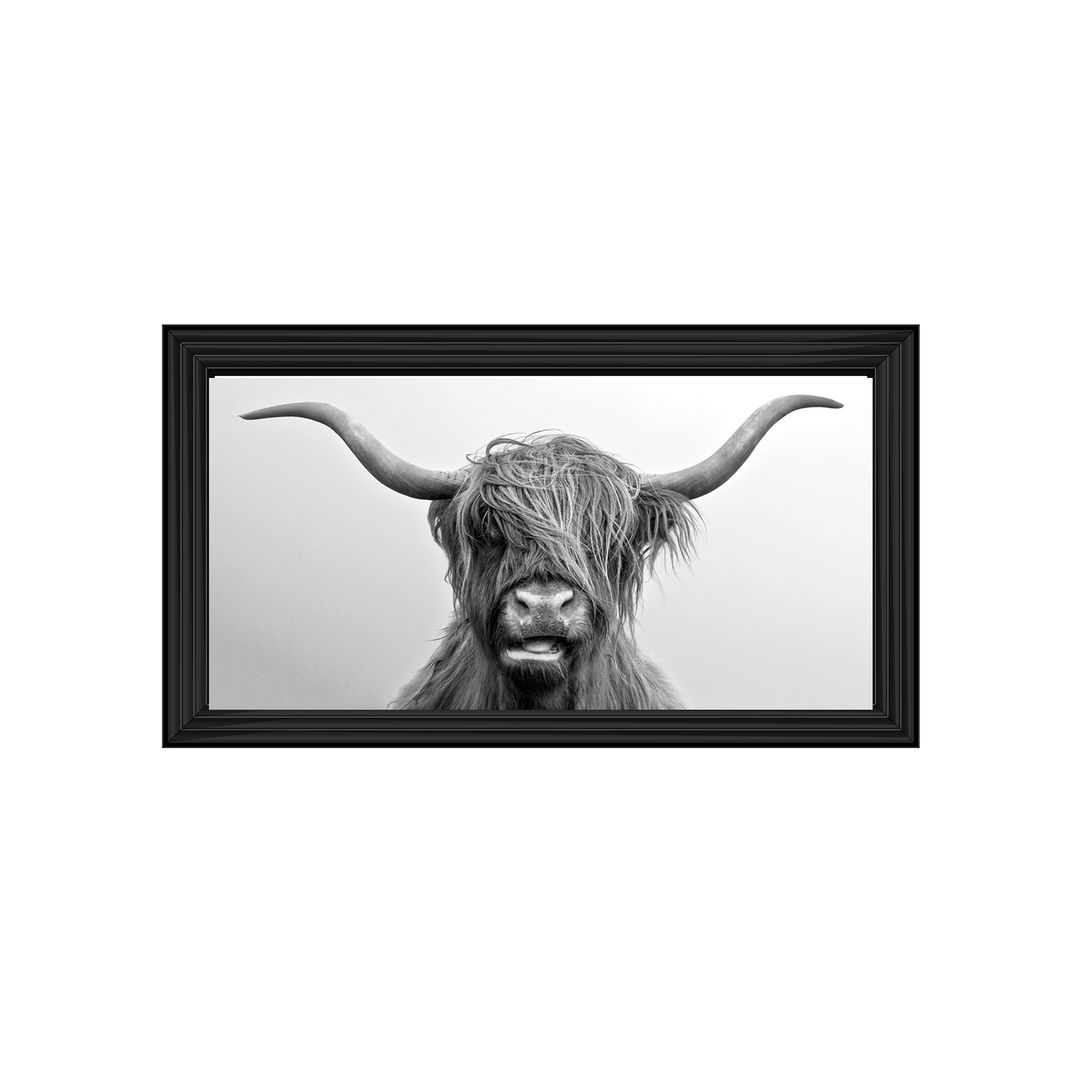AN280 Highland Cow I