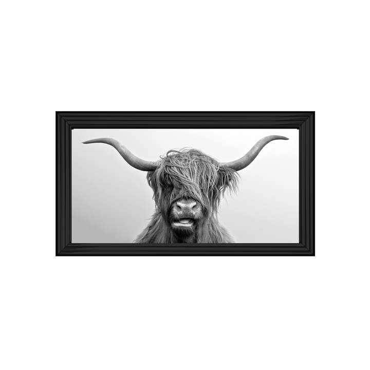 AN280 Highland Cow I