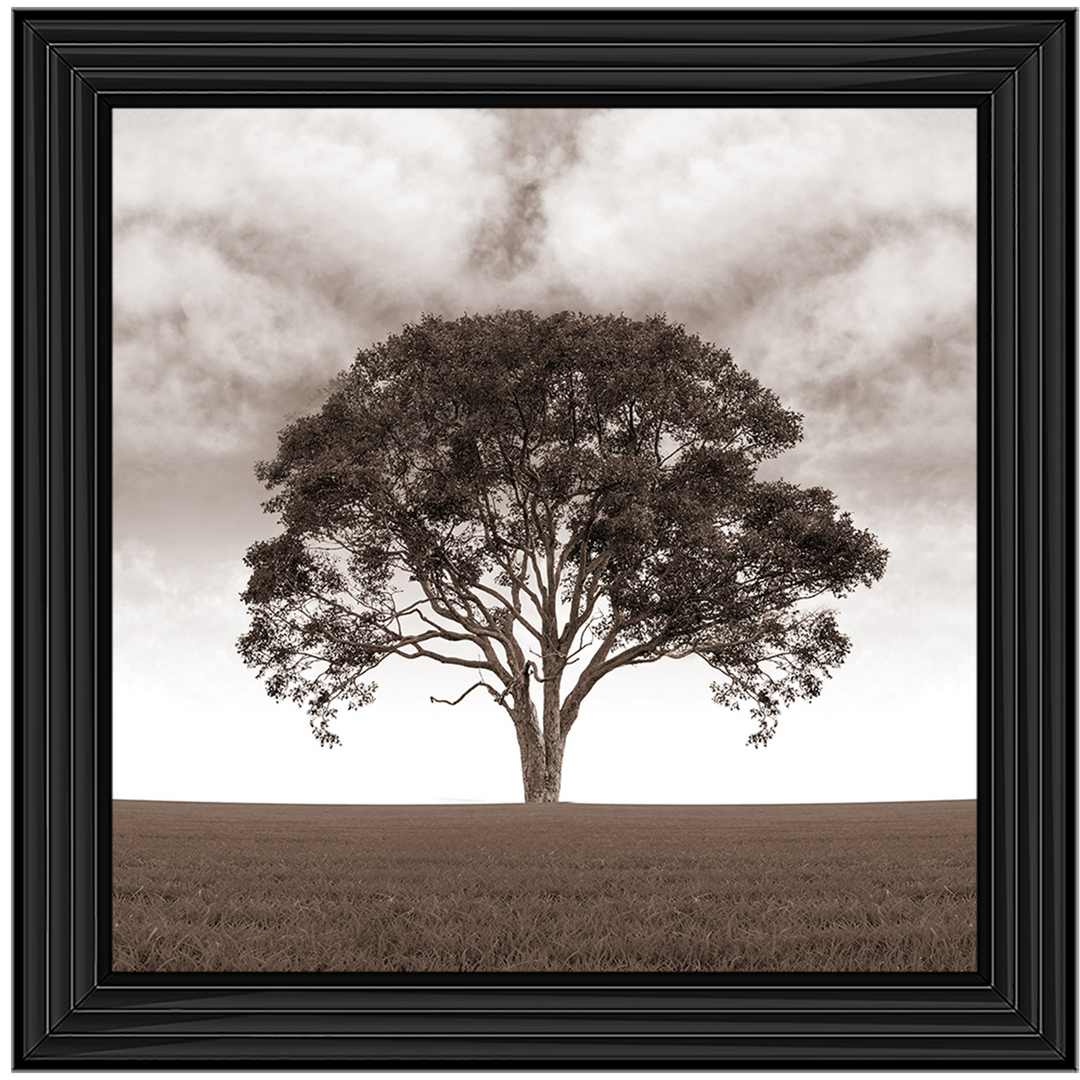 LS189 Lone Tree