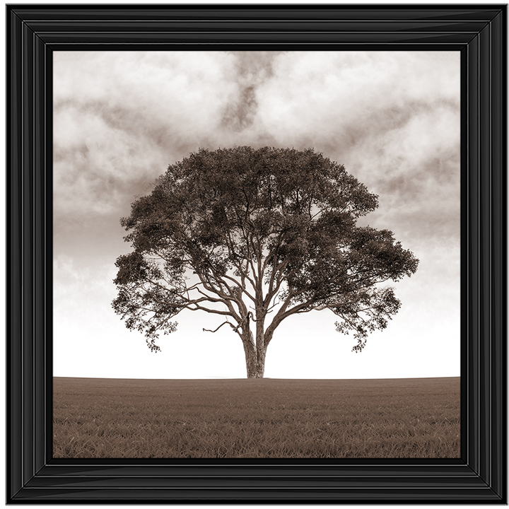 LS189 Lone Tree