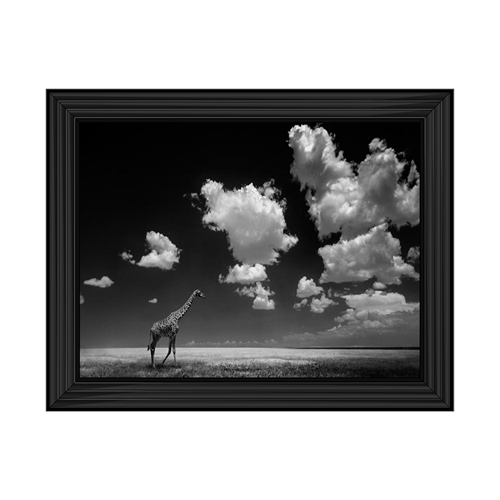 Ghizzi Panizza -Gone with the Clouds