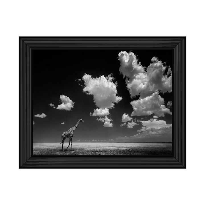 Ghizzi Panizza -Gone with the Clouds