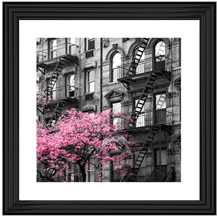 Pink City