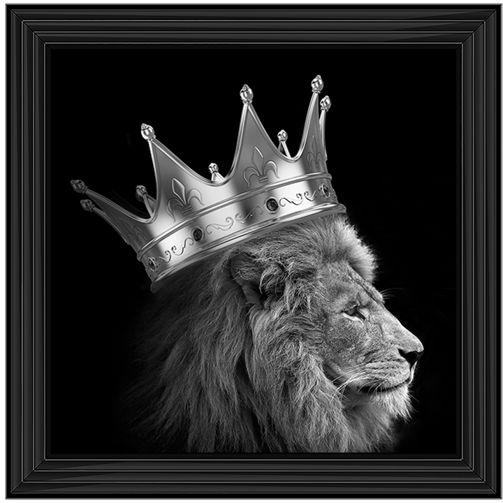 AN298 King Lion Silver