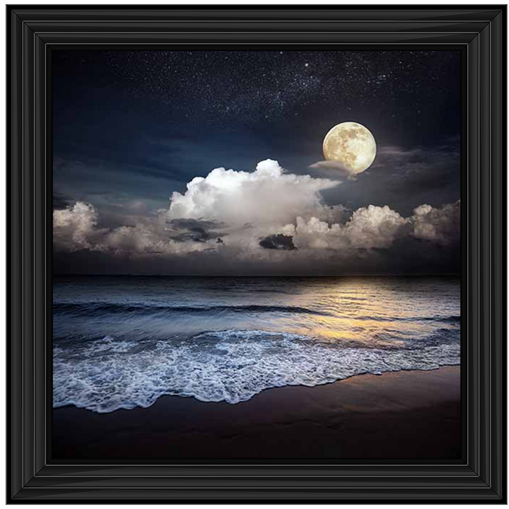 LS295 Full Moon At Twilight ||
