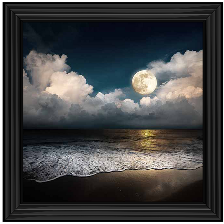 LS294 Full Moon At Twilight |