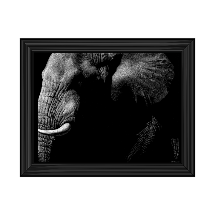 AN026 Wildlife Scratchboards III