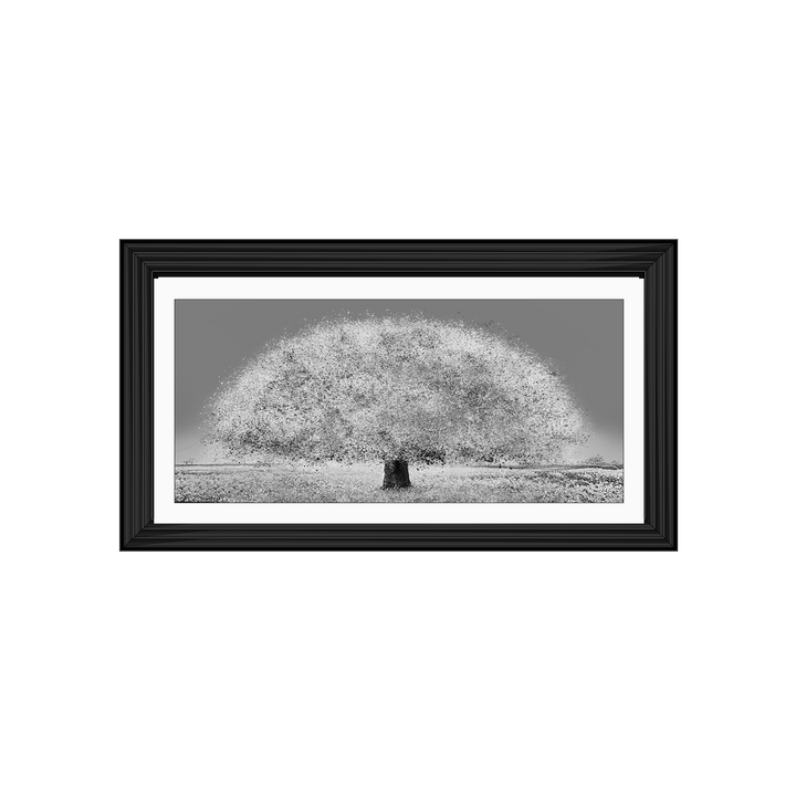 LS205 Black and white tree