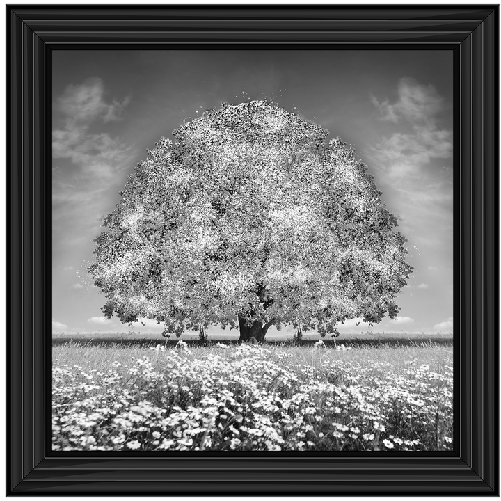 LS276 White Oak Tree