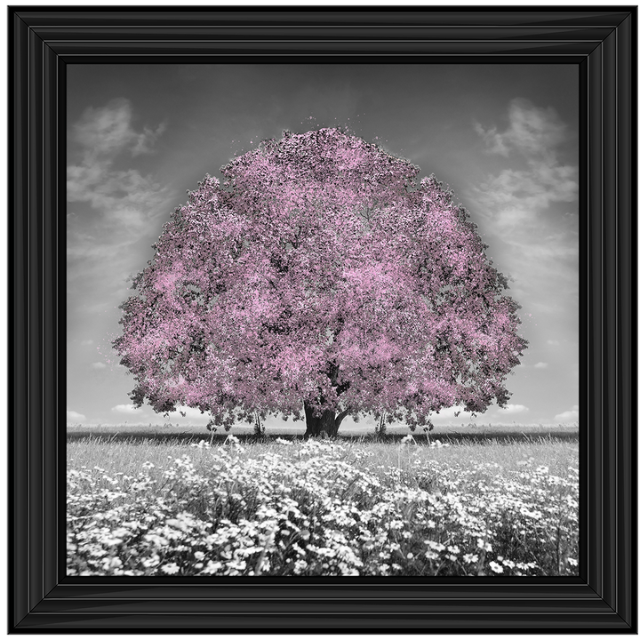 LS275 Pink Oak Tree