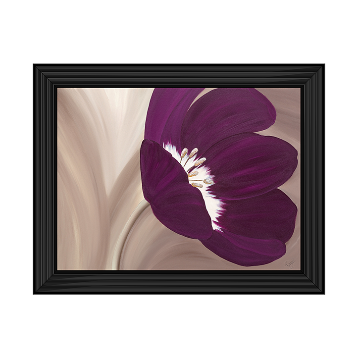 Velvet Poppy