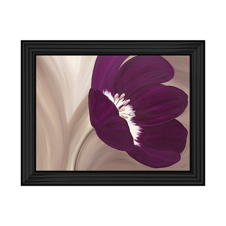 Velvet Poppy