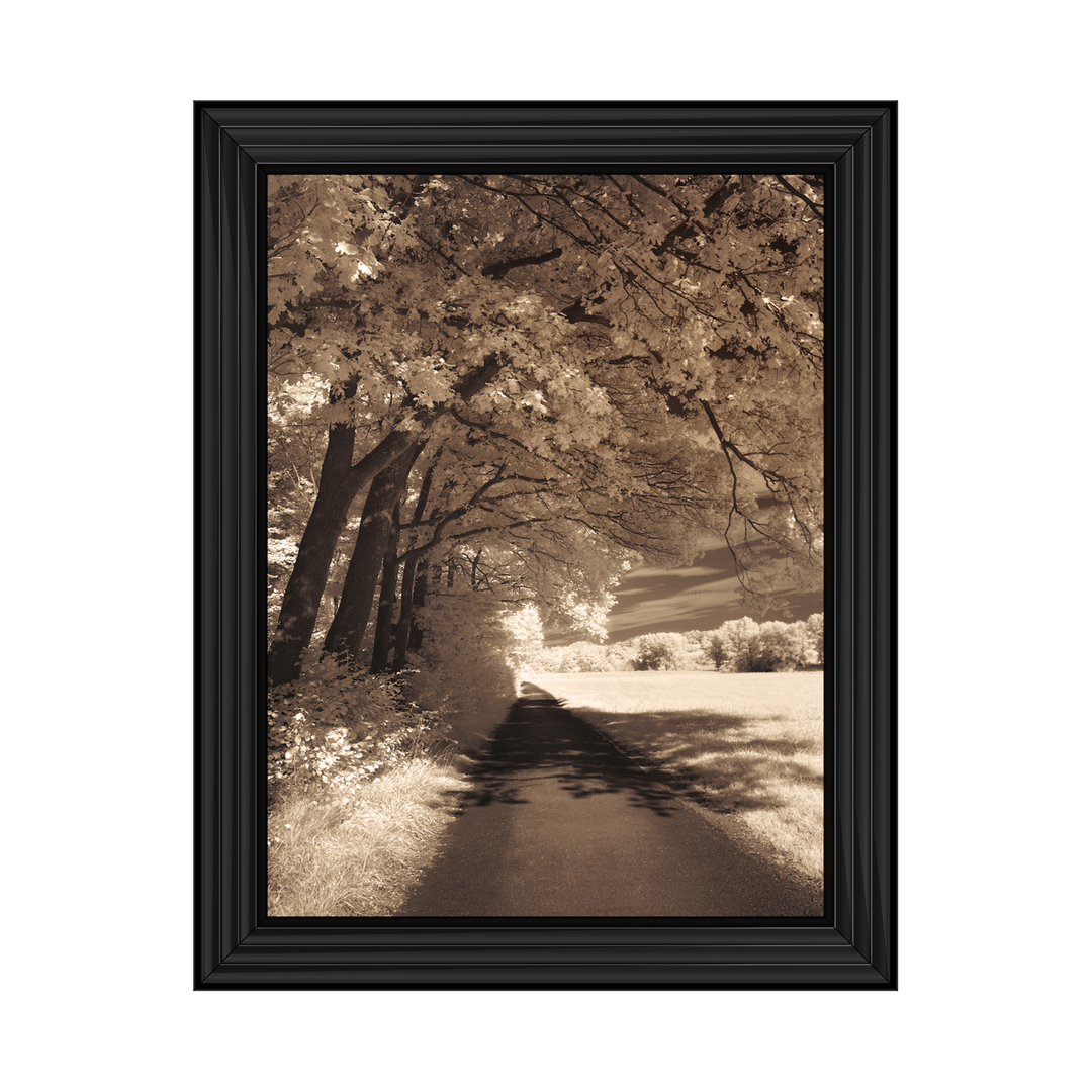 The Path Ahead