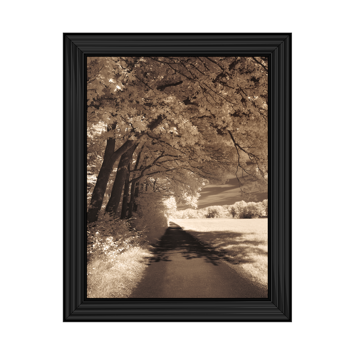 The Path Ahead