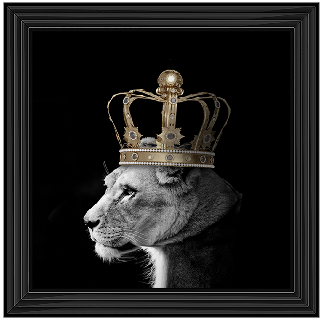 Queen Lion Gold