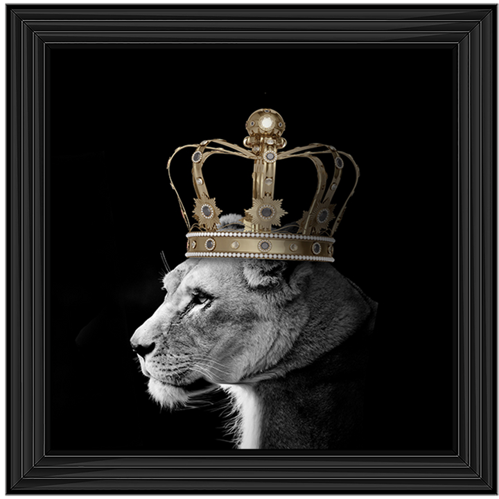 Queen Lion Gold