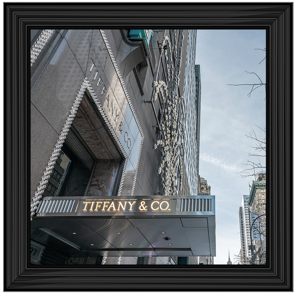 Store Front XV