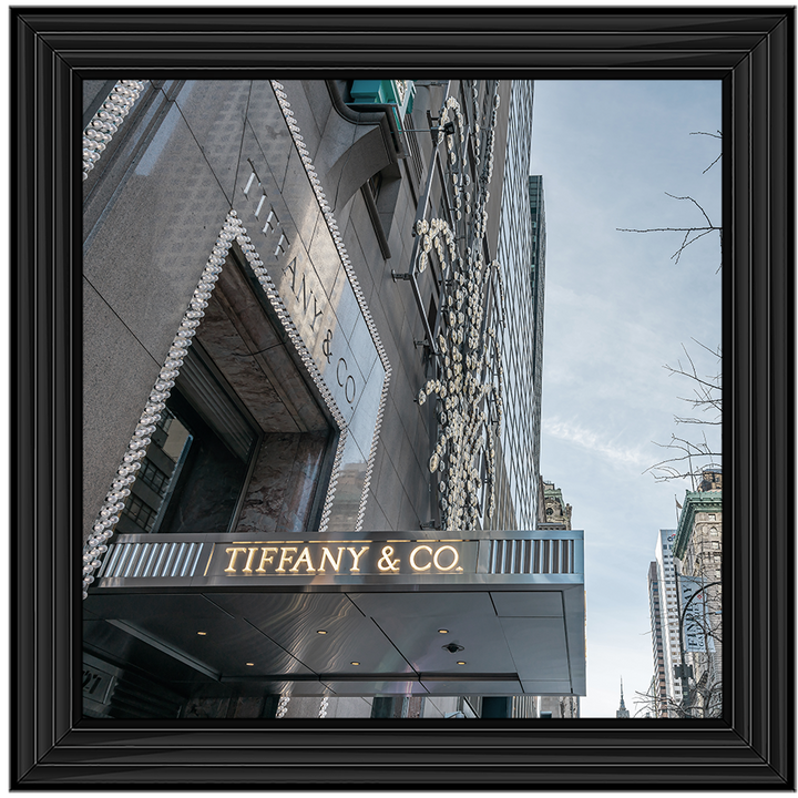 Store Front XV