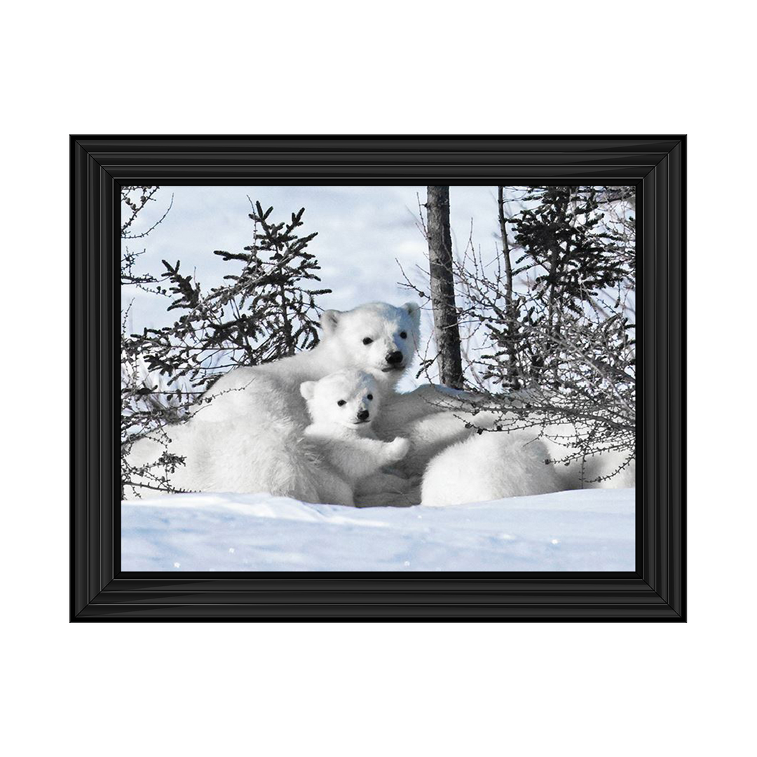 Winter Cubs