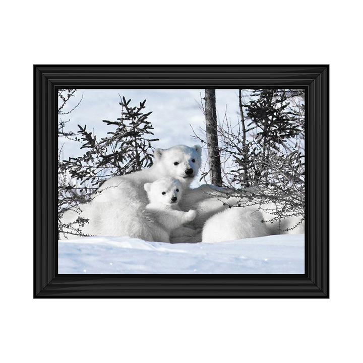 Winter Cubs