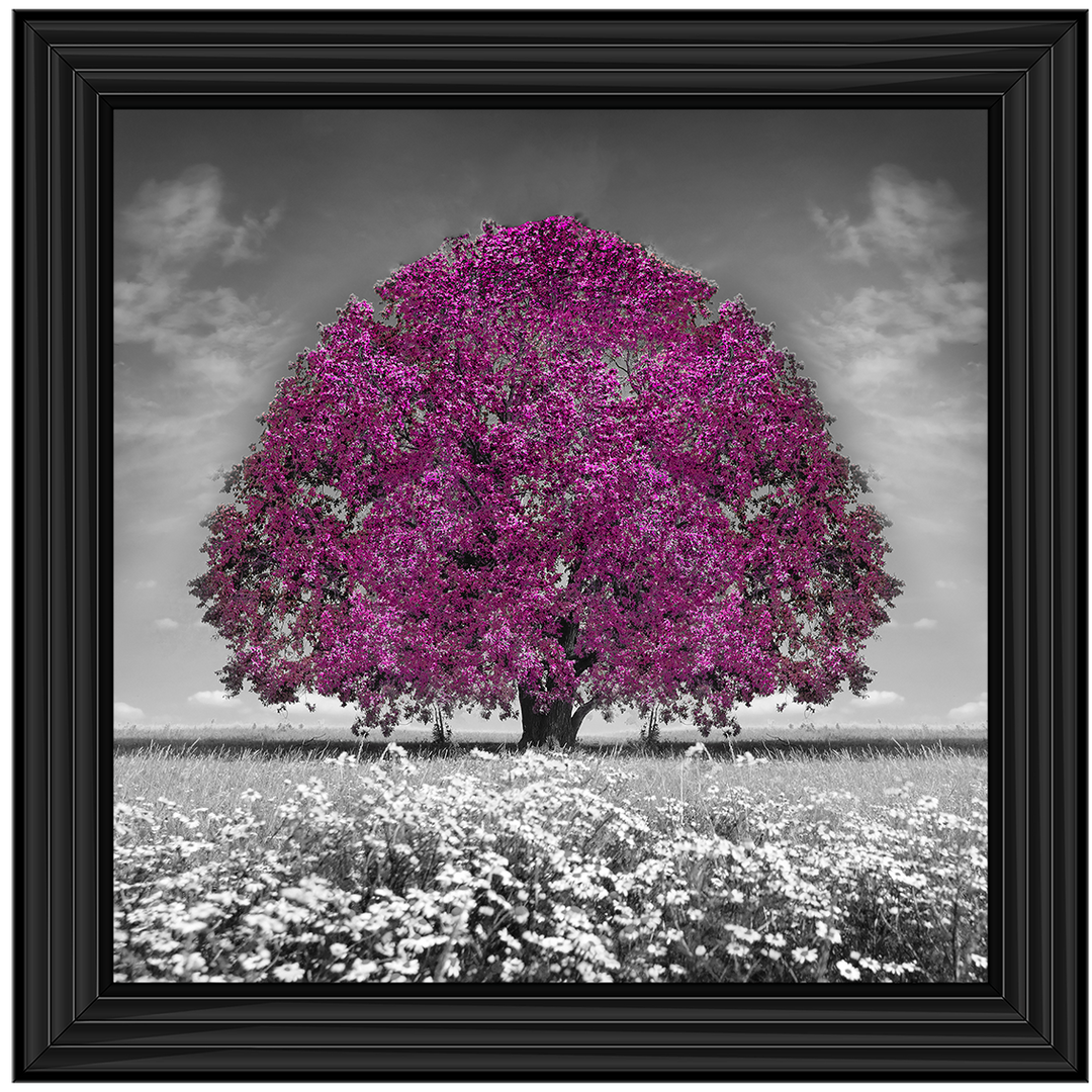 LS271 Purple Oak Tree