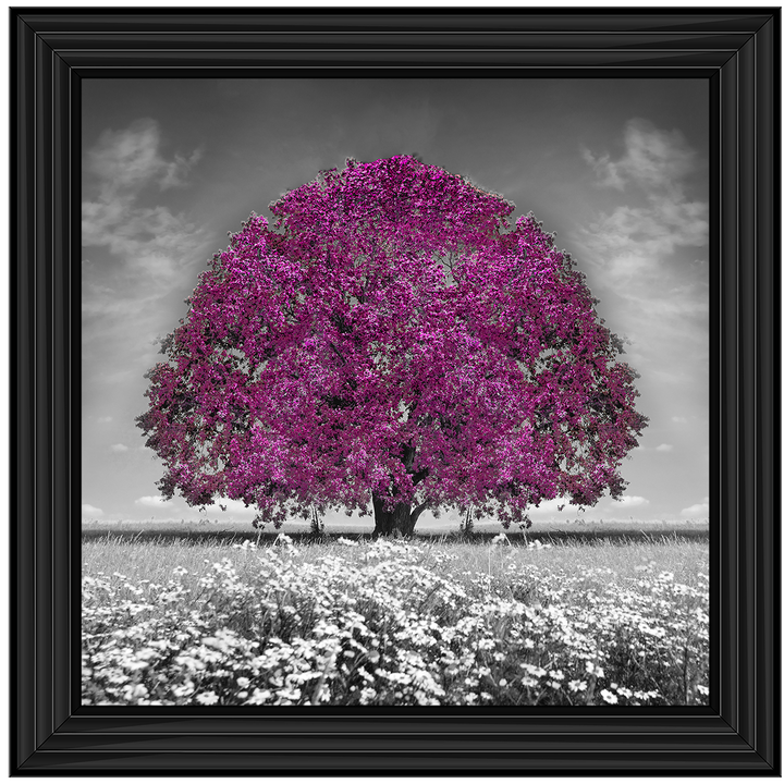 LS271 Purple Oak Tree