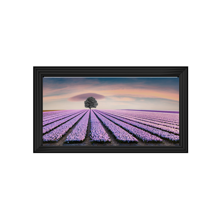 Purple Purple Field I