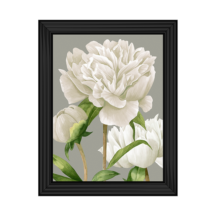 White Peonies II