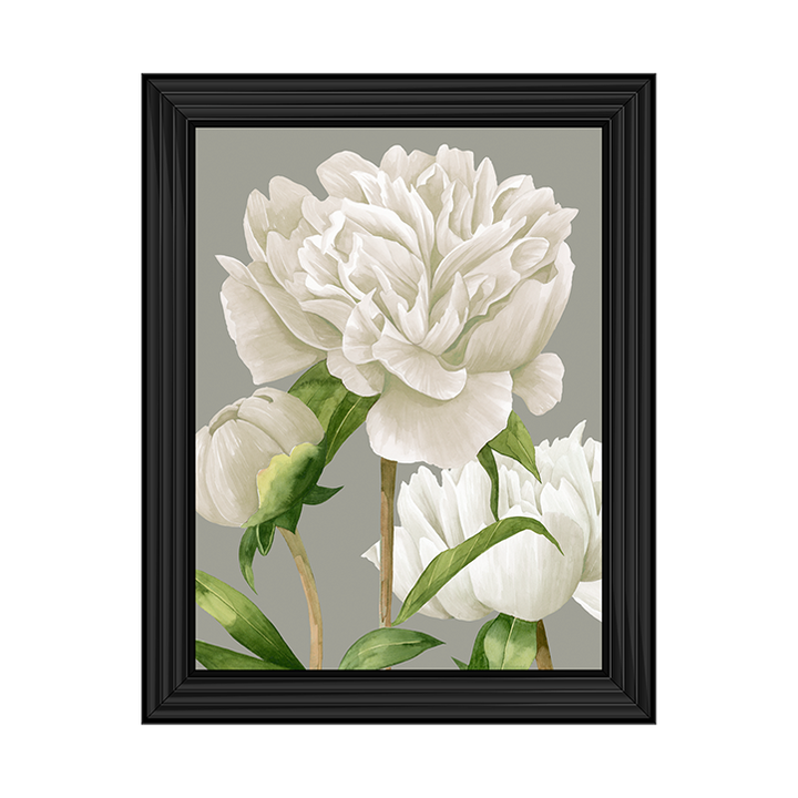 White Peonies II