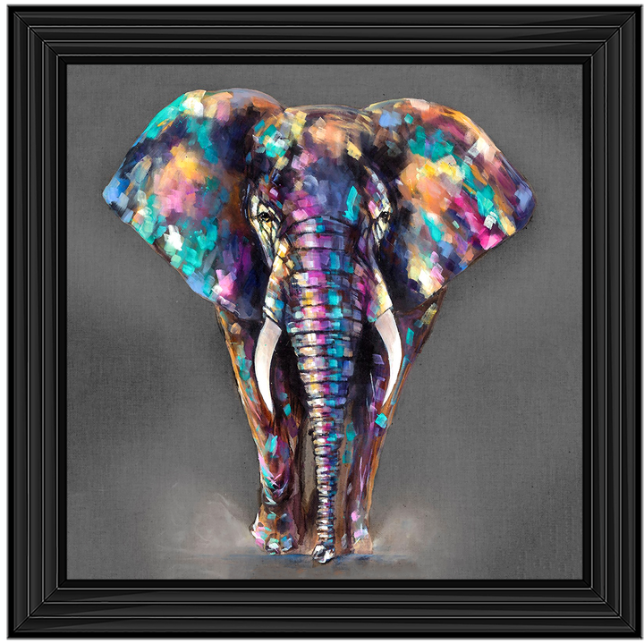 AN340 Colourful Elephant