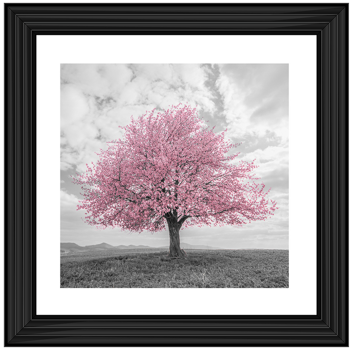LS123 Pink Lone Tree