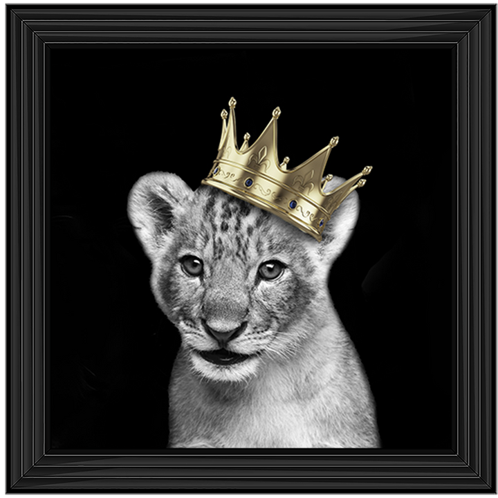 Prince Cub Gold