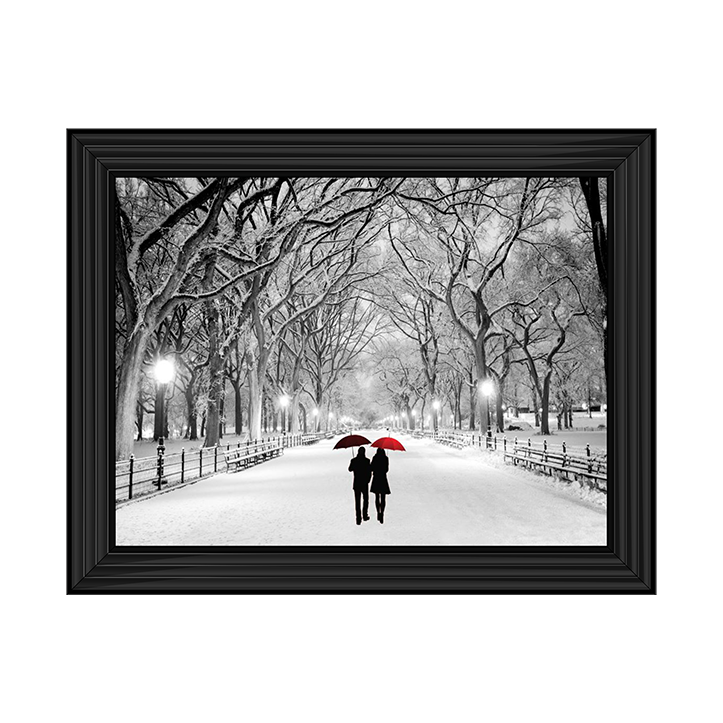 Walk through the snowy park