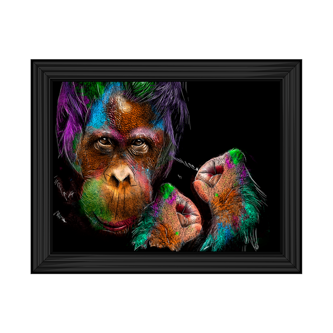 Orangutan