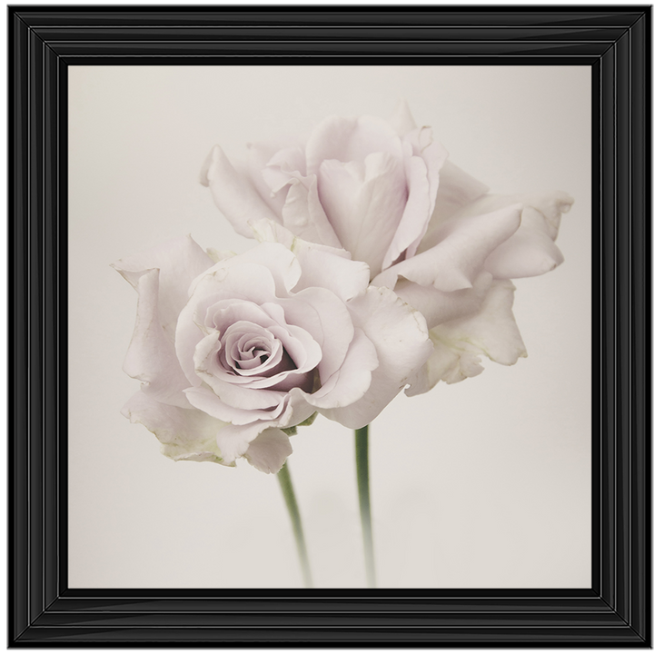 FL188 Flower Love