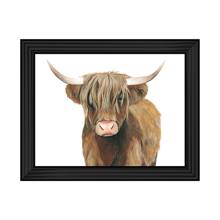 AN009 Highland Cattle II