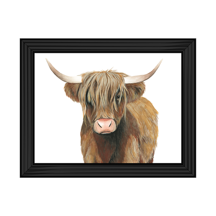 AN009 Highland Cattle II