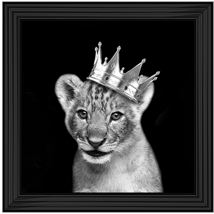 Prince Cub Silver