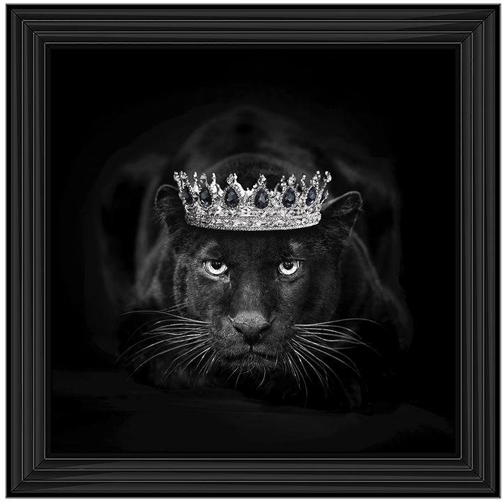 Royal Jaguar
